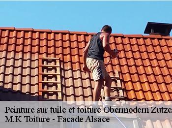 Peinture sur tuile et toiture  67330