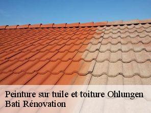 Peinture sur tuile et toiture  ohlungen-67590 Bati Rénovation