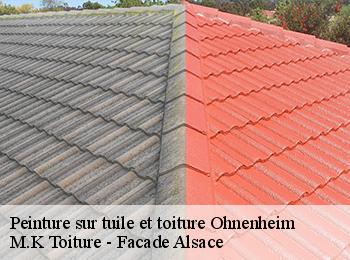 Peinture sur tuile et toiture