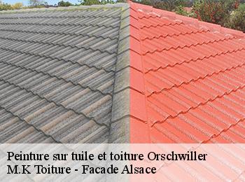 Peinture sur tuile et toiture