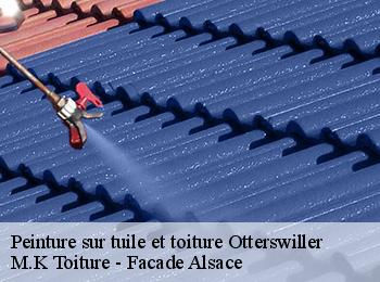Peinture sur tuile et toiture  otterswiller-67700 M.K Toiture - Facade Alsace