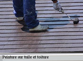 Peinture sur tuile et toiture  67290