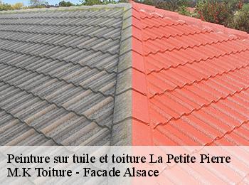 Peinture sur tuile et toiture