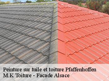 Peinture sur tuile et toiture