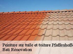 Peinture sur tuile et toiture pfaffenhoffen-67350 Bati Rénovation