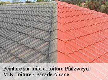 Peinture sur tuile et toiture