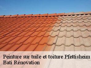 Peinture sur tuile et toiture pfettisheim-67370 Bati Rénovation