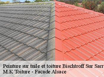 Peinture sur tuile et toiture