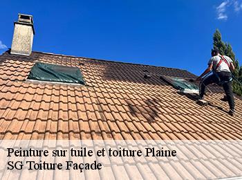 Peinture sur tuile et toiture 67420