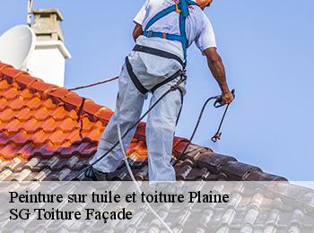 Peinture sur tuile et toiture