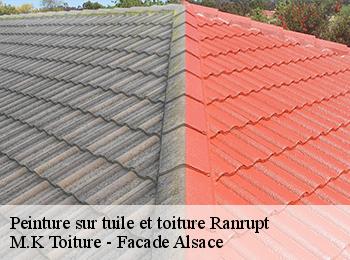 Peinture sur tuile et toiture