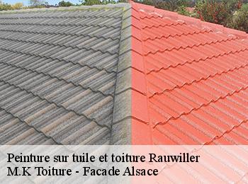 Peinture sur tuile et toiture
