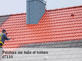 Peinture sur tuile et toiture  67110