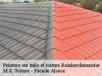 Peinture sur tuile et toiture