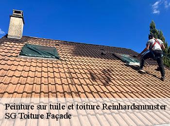 Peinture sur tuile et toiture 67440