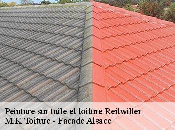 Peinture sur tuile et toiture