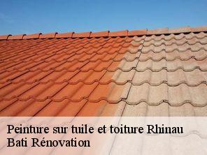 Peinture sur tuile et toiture rhinau-67860 Bati Rénovation