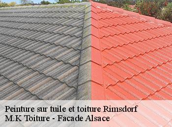 Peinture sur tuile et toiture