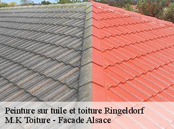 Peinture sur tuile et toiture