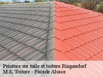 Peinture sur tuile et toiture