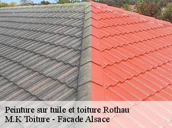 Peinture sur tuile et toiture