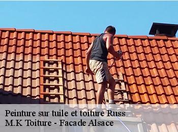 Peinture sur tuile et toiture  67130
