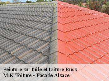 Peinture sur tuile et toiture