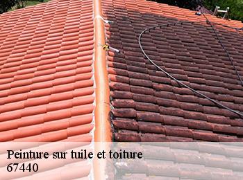 Peinture sur tuile et toiture  67440