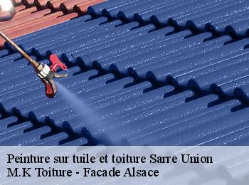Peinture sur tuile et toiture  sarre-union-67260 M.K Toiture - Facade Alsace