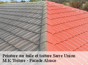 Peinture sur tuile et toiture