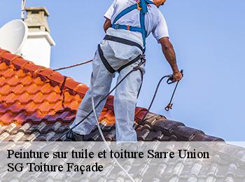 Peinture sur tuile et toiture