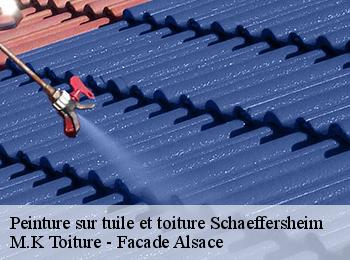 Peinture sur tuile et toiture  schaeffersheim-67150 M.K Toiture - Facade Alsace