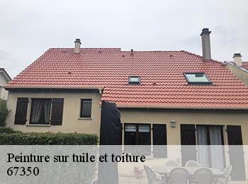Peinture sur tuile et toiture