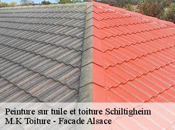 Peinture sur tuile et toiture