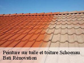 Peinture sur tuile et toiture schoenau-67390 Bati Rénovation