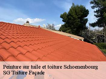 Peinture sur tuile et toiture schoenenbourg-67250 SG Toiture Façade