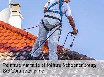 Peinture sur tuile et toiture