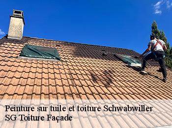 Peinture sur tuile et toiture  67660