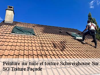 Peinture sur tuile et toiture 67590