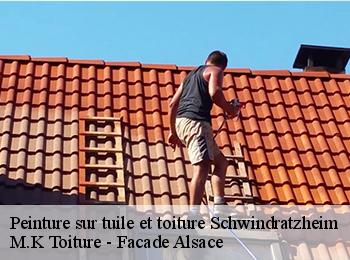 Peinture sur tuile et toiture  67270