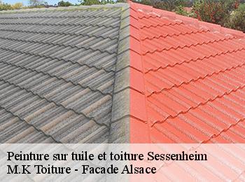 Peinture sur tuile et toiture