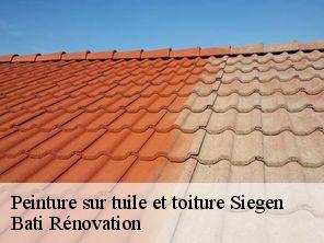 Peinture sur tuile et toiture  siegen-67160 Bati Rénovation
