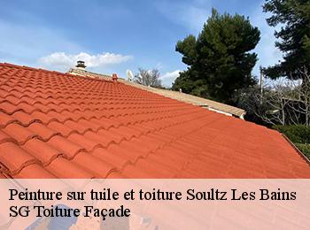 Peinture sur tuile et toiture soultz-les-bains-67120 SG Toiture Façade