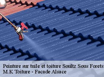 Peinture sur tuile et toiture  soultz-sous-forets-67250 M.K Toiture - Facade Alsace