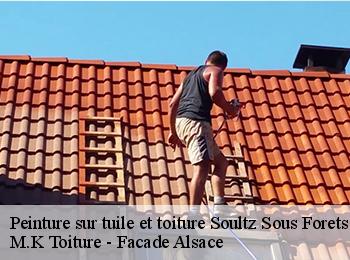 Peinture sur tuile et toiture  67250