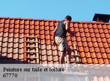 Peinture sur tuile et toiture  67770