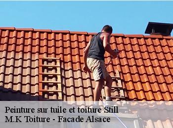 Peinture sur tuile et toiture 67190