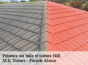 Peinture sur tuile et toiture