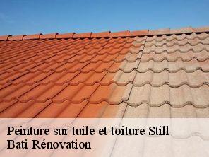 Peinture sur tuile et toiture still-67190 Bati Rénovation