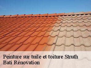 Peinture sur tuile et toiture struth-67290 Bati Rénovation